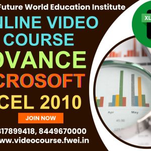 Advanced Microsoft Excel 2010